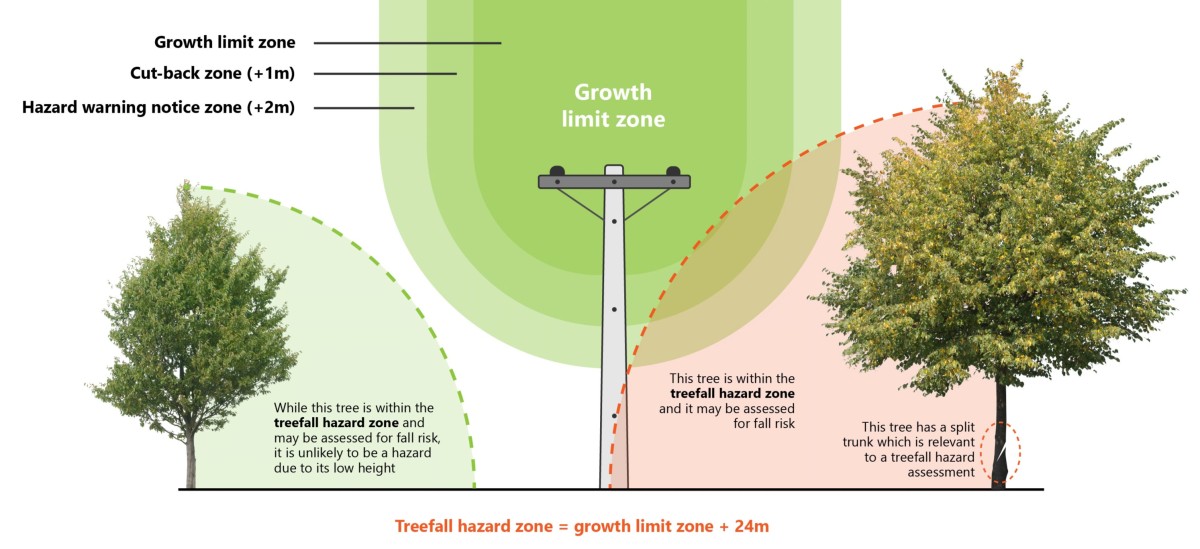 Treefall hazard zone diagram